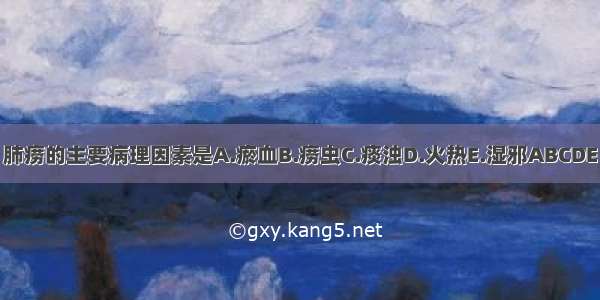 肺痨的主要病理因素是A.瘀血B.痨虫C.痰浊D.火热E.湿邪ABCDE