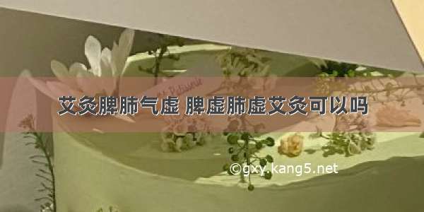 艾灸脾肺气虚 脾虚肺虚艾灸可以吗