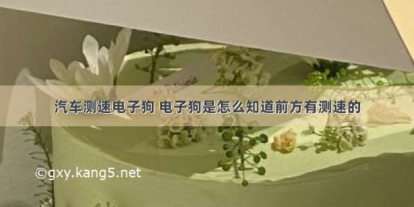 汽车测速电子狗 电子狗是怎么知道前方有测速的