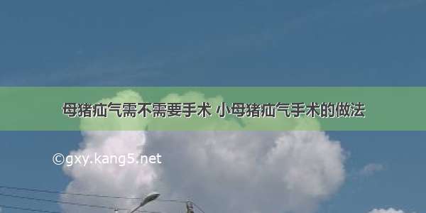 母猪疝气需不需要手术 小母猪疝气手术的做法