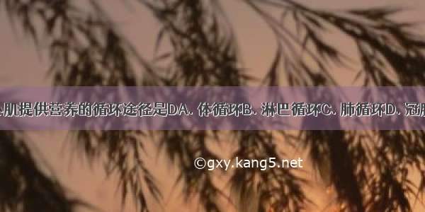 能为心肌提供营养的循环途径是DA. 体循环B. 淋巴循环C. 肺循环D. 冠脉循环