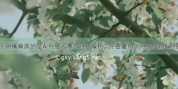 下列各项 属于胁痛病因的是A.外感风寒B.外感燥热C.外感暑热D.外感湿热E.外感风湿ABCDE