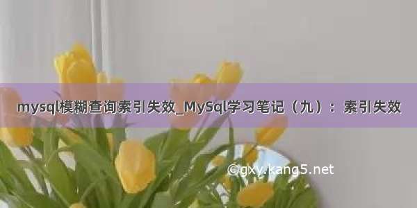 mysql模糊查询索引失效_MySql学习笔记（九）：索引失效