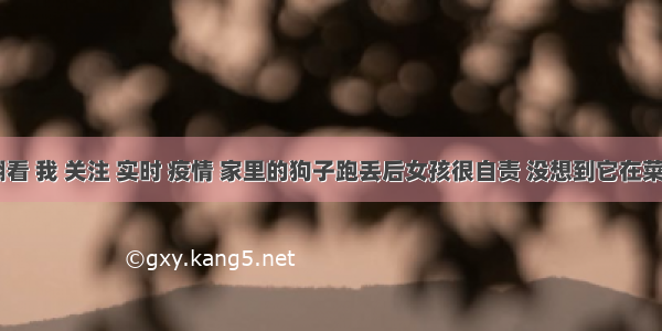 刷新 翻看 我 关注 实时 疫情 家里的狗子跑丢后女孩很自责 没想到它在菜地苦苦