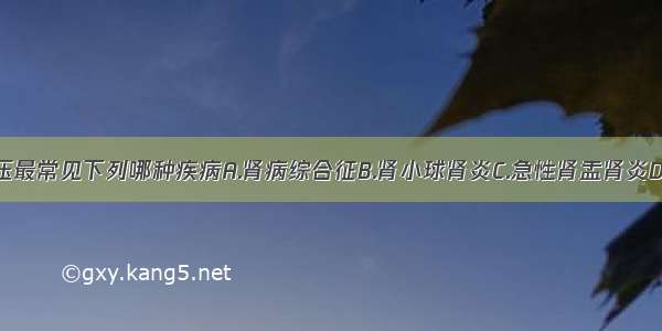 血尿伴高血压最常见下列哪种疾病A.肾病综合征B.肾小球肾炎C.急性肾盂肾炎D.急性膀胱炎