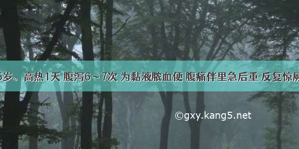 患者男 5岁。高热1天 腹泻6～7次 为黏液脓血便 腹痛伴里急后重 反复惊厥 逐渐出