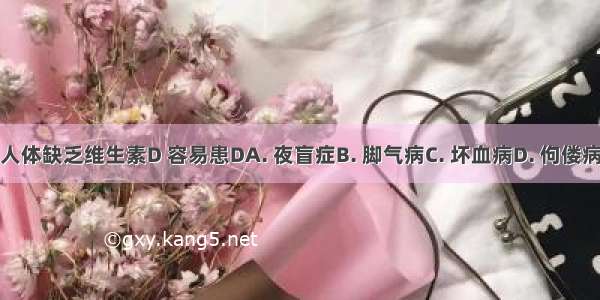 人体缺乏维生素D 容易患DA. 夜盲症B. 脚气病C. 坏血病D. 佝偻病