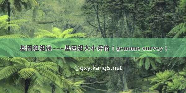 基因组组装---基因组大小评估（genome survey）