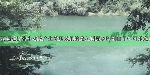 下列药物中主要通过扩张小动脉产生降压效果的是A.肼屈嗪B.利舍平C.可乐定D.硝普钠E.哌