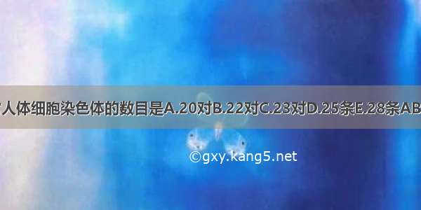 正常人体细胞染色体的数目是A.20对B.22对C.23对D.25条E.28条ABCDE