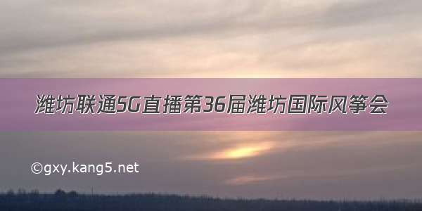 潍坊联通5G直播第36届潍坊国际风筝会