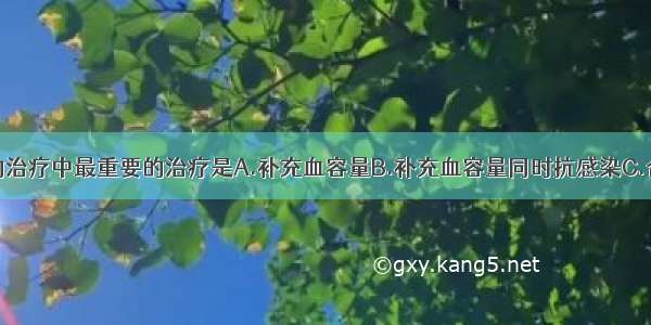 感染性休克的治疗中最重要的治疗是A.补充血容量B.补充血容量同时抗感染C.合理使用血管