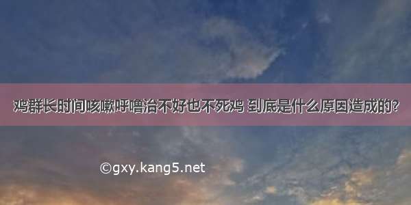 鸡群长时间咳嗽呼噜治不好也不死鸡 到底是什么原因造成的？