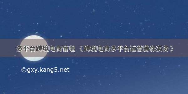 多平台跨境电商管理 《跨境电商多平台运营操作实务》