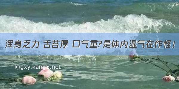 浑身乏力 舌苔厚 口气重?是体内湿气在作怪！