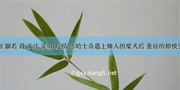 刷新 翻看 我 关注 实时 疫情 当哈士奇遇上烦人的柴犬后 委屈的都快哭了