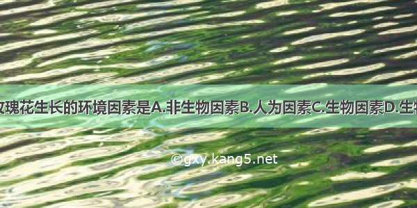 影响公园中玫瑰花生长的环境因素是A.非生物因素B.人为因素C.生物因素D.生物因素和非生