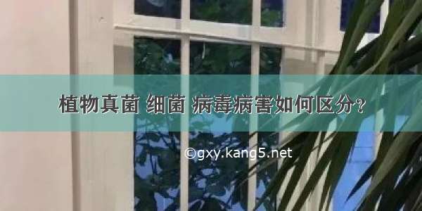 植物真菌 细菌 病毒病害如何区分？