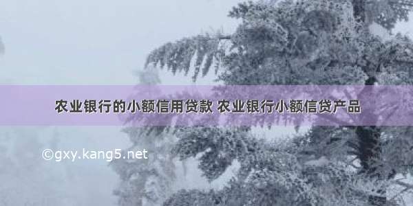 农业银行的小额信用贷款 农业银行小额信贷产品