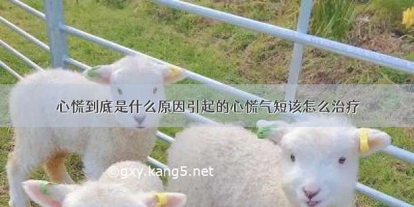 心慌到底是什么原因引起的心慌气短该怎么治疗