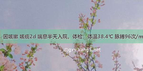 患儿 2岁。因咳嗽 咳痰2d 喘息半天入院。体检：体温38.4℃ 脉搏96次/min 呼吸45