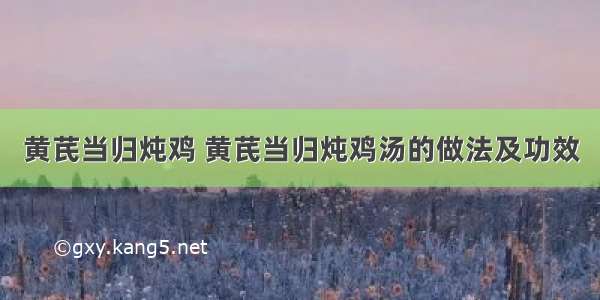 黄芪当归炖鸡 黄芪当归炖鸡汤的做法及功效