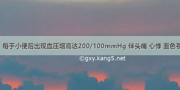 男性 30岁。每于小便后出现血压增高达200/100mmHg 伴头痛 心悸 面色苍白。其病因