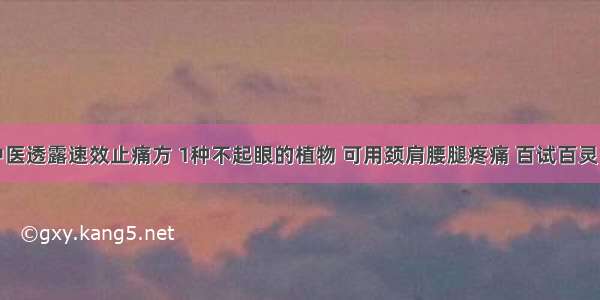 退休老中医透露速效止痛方 1种不起眼的植物 可用颈肩腰腿疼痛 百试百灵！不复发