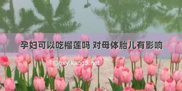 孕妇可以吃榴莲吗 对母体胎儿有影响