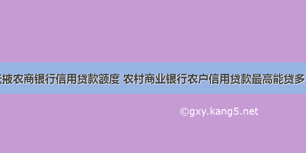 张掖农商银行信用贷款额度 农村商业银行农户信用贷款最高能贷多少