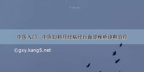 中医入门：中医妇科月经病经行面部痤疮诊断治疗