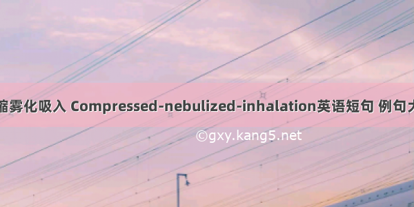 压缩雾化吸入 Compressed-nebulized-inhalation英语短句 例句大全