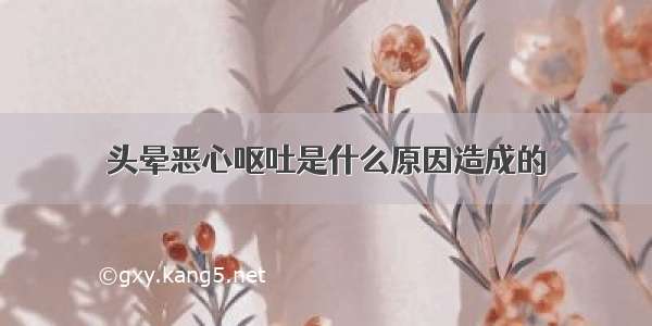 头晕恶心呕吐是什么原因造成的