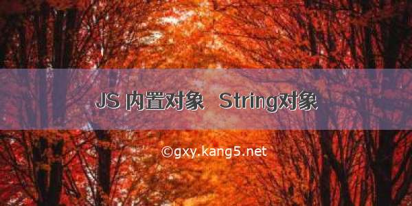 JS 内置对象   String对象