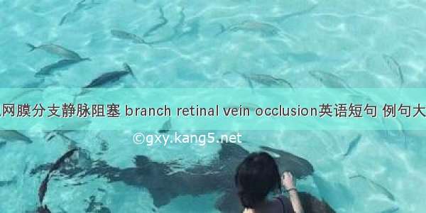 视网膜分支静脉阻塞 branch retinal vein occlusion英语短句 例句大全