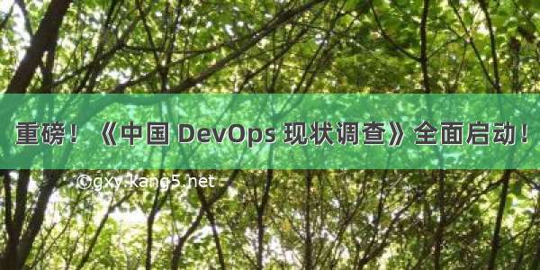 重磅！《中国 DevOps 现状调查》全面启动！