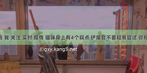 刷新 翻看 我 关注 实时 疫情 猫咪身上有4个弱点 铲屎官不要轻易尝试 你知道几个？