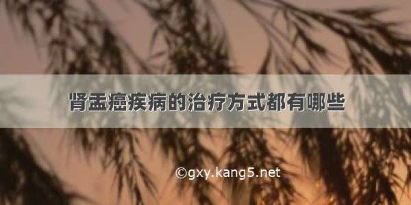 肾盂癌疾病的治疗方式都有哪些