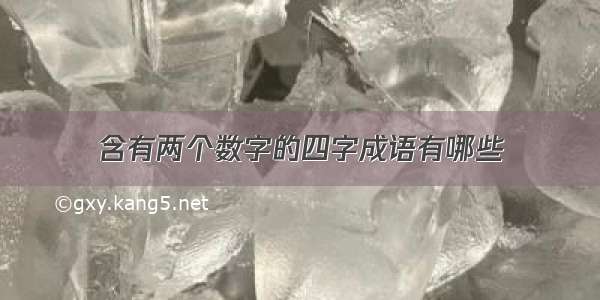 含有两个数字的四字成语有哪些