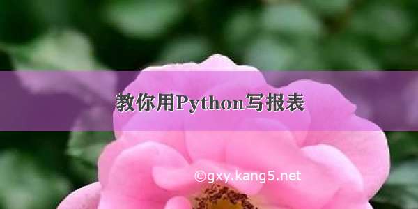 教你用Python写报表