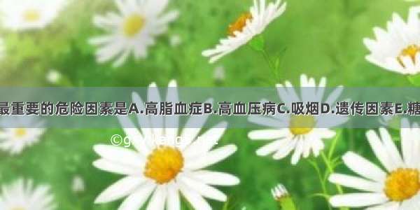 我国冠心病最重要的危险因素是A.高脂血症B.高血压病C.吸烟D.遗传因素E.糖尿病ABCDE