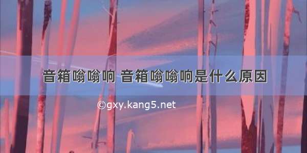 音箱嗡嗡响 音箱嗡嗡响是什么原因