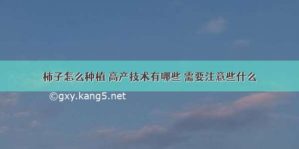 柿子怎么种植 高产技术有哪些 需要注意些什么