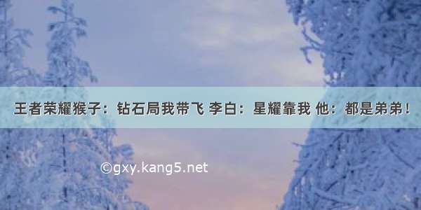 王者荣耀猴子：钻石局我带飞 李白：星耀靠我 他：都是弟弟！