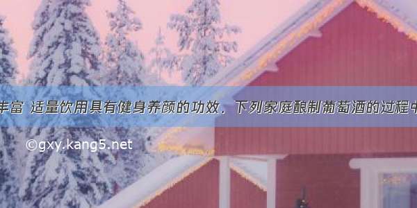 葡萄酒营养丰富 适量饮用具有健身养颜的功效．下列家庭酿制葡萄酒的过程中属于化学变