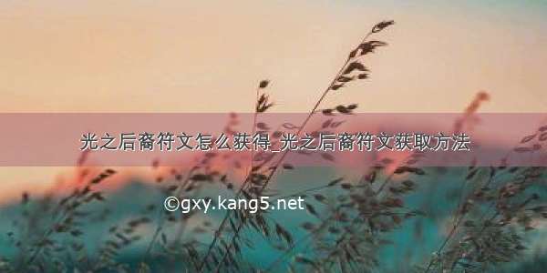 光之后裔符文怎么获得_光之后裔符文获取方法