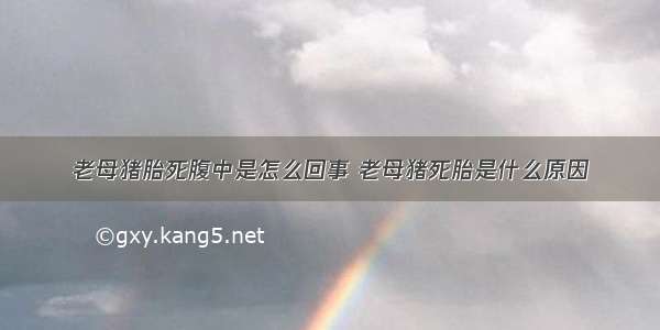 老母猪胎死腹中是怎么回事 老母猪死胎是什么原因