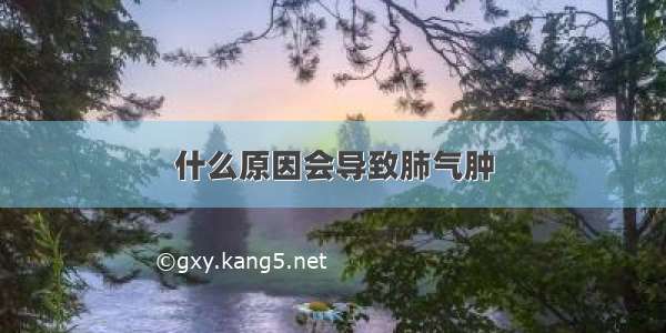 什么原因会导致肺气肿