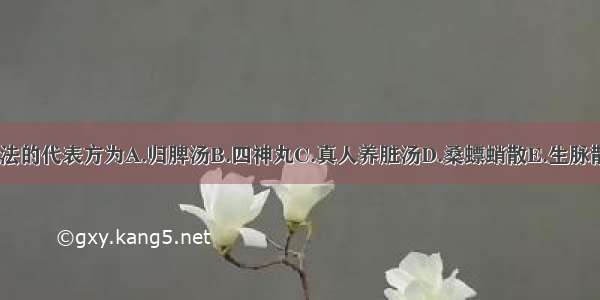 交通心肾法的代表方为A.归脾汤B.四神丸C.真人养脏汤D.桑螵蛸散E.生脉散ABCDE