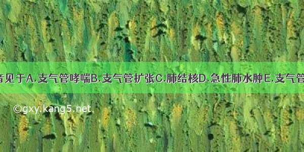 双肺满布湿啰音见于A.支气管哮喘B.支气管扩张C.肺结核D.急性肺水肿E.支气管肺炎ABCDE